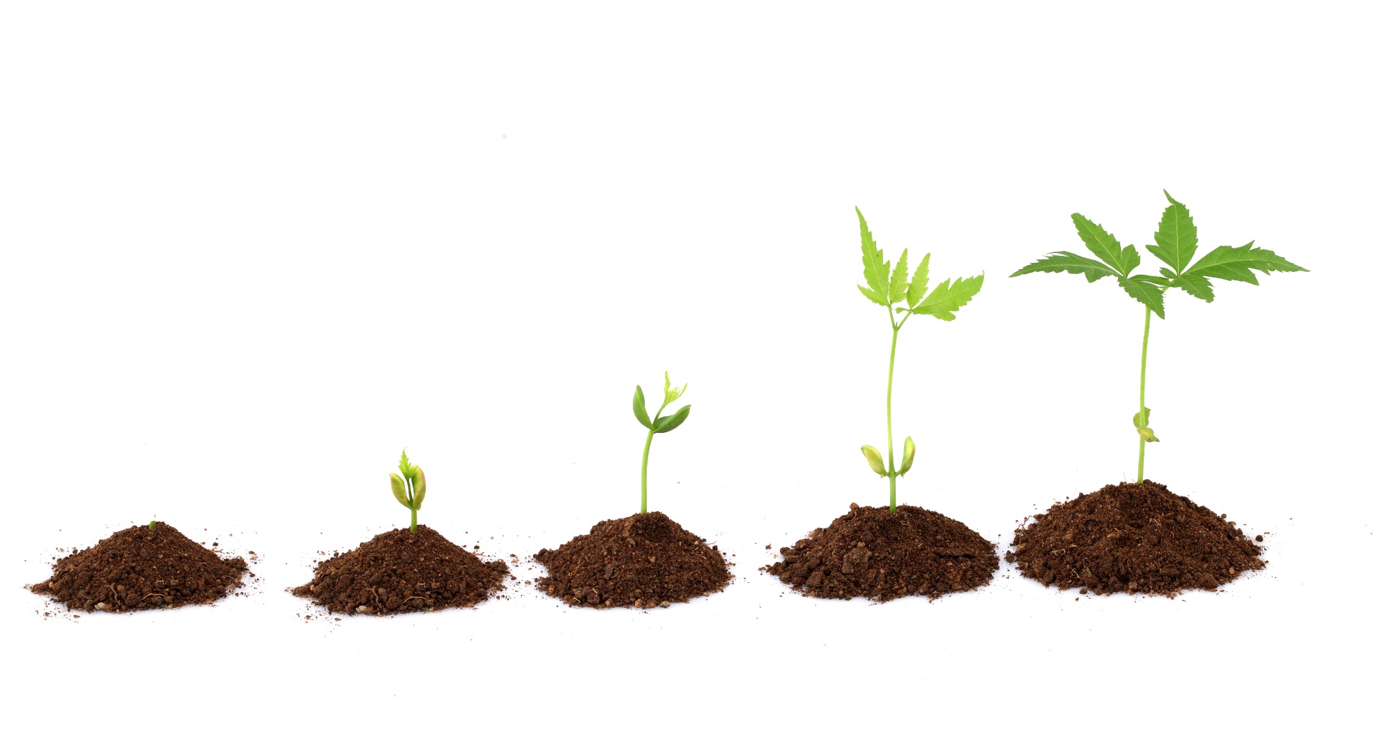 5 Quick Steps to Getting Your First E-commerce Store Up and Running