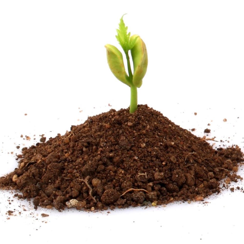 Shopify Brand Building